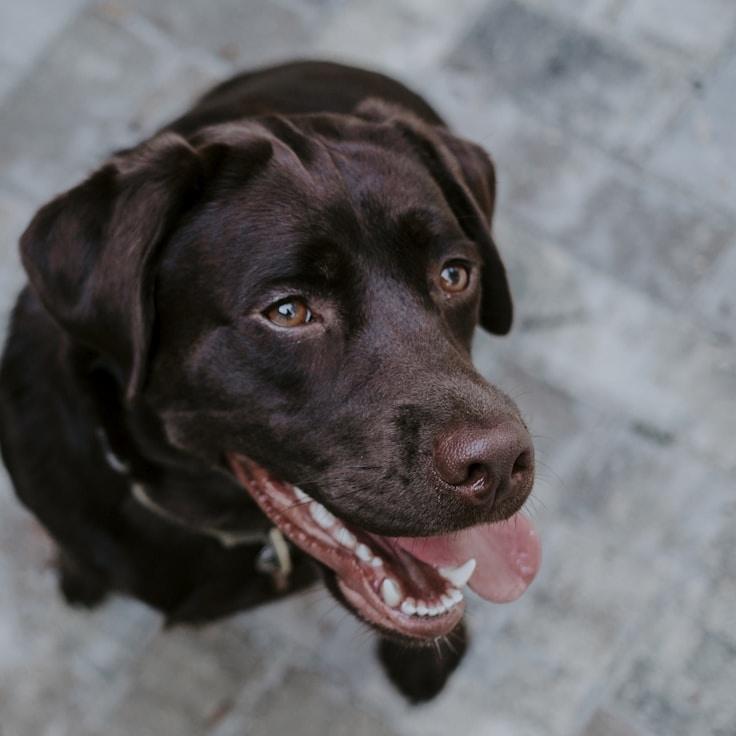 Portrait of Mina Solano, group coordinator and fusion cooking expert